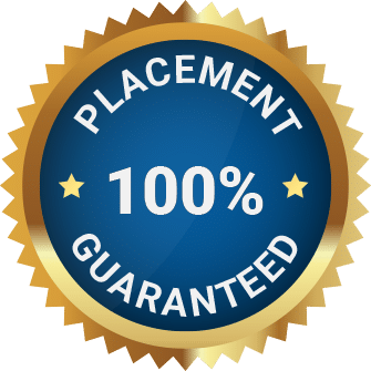 100% Placement Guaranteed, SkyWings Academy