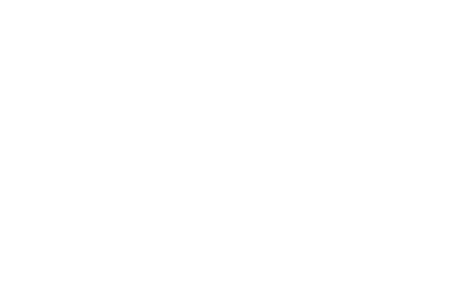 SkyWings Aviation Academy